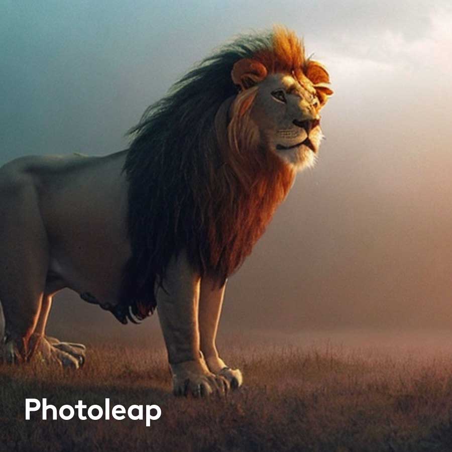 AI Avatar Generator with Photoleap, Lion